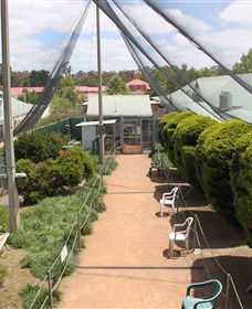 Canberra Walk In Aviary - Accommodation NT 3