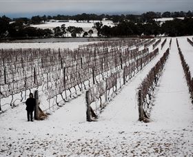 Savina Lane Premum Wines - Accommodation NT 2