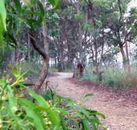 Mount Mutton Walking Trail - Accommodation NT