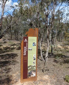 Mulligans Flat - Accommodation NT 1