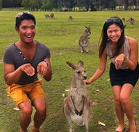 Runaway Tours - Accommodation NT