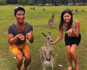 Runaway Tours - Accommodation NT 0