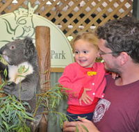 Blue Diamond Tours - Accommodation NT