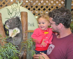 Blue Diamond Tours - Accommodation NT 0