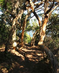 My Walking Detour - Accommodation NT 6
