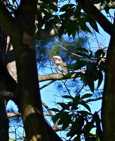 My Walking Detour - Accommodation NT 5