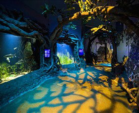 SEA LIFE Sydney Aquarium - Accommodation NT 2