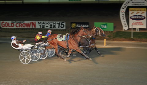 Bathurst Harness Racing Club - Accommodation NT 3