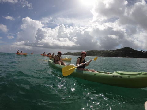 Cape Byron Kayaks - Accommodation NT 3