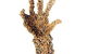 Coo-ee Aboriginal Art Gallery - thumb 0