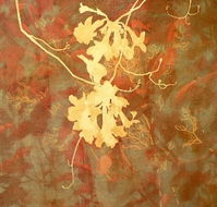 Fellia Melas Gallery