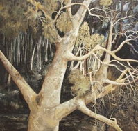 Ku-Ring-Gai Art Centre  Gallery - Accommodation NT