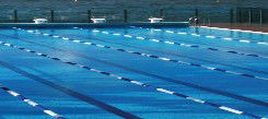 Andrew Boy Charlton Pool - Accommodation NT 1