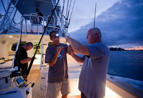 Amokura Charters - Accommodation NT 1
