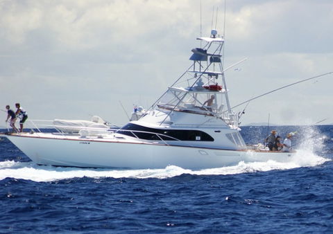 Amokura Charters - Accommodation NT 2