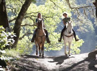 Hunter Valley Horse Riding And Adventures - Accommodation NT 1