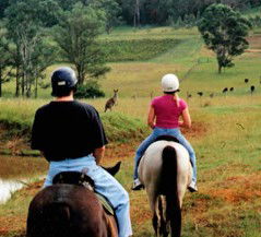 Hunter Valley Horse Riding And Adventures - Accommodation NT 3