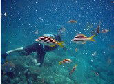 Imagine Cruises - Accommodation NT 0