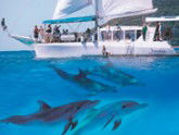 Imagine Cruises - Accommodation NT 2