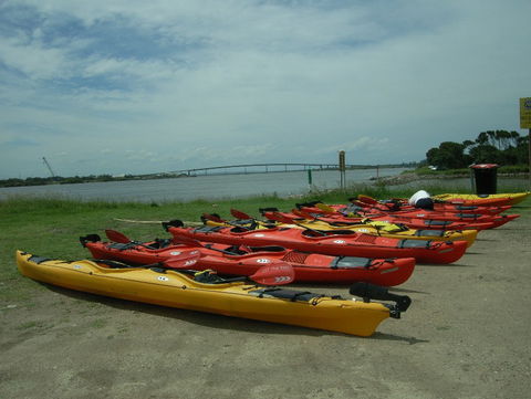 Newcastle Kayak Tours - Accommodation NT 2