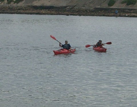 Newcastle Kayak Tours - Accommodation NT 4