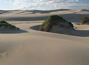 Port Stephens 4WD Tours - Accommodation NT 1
