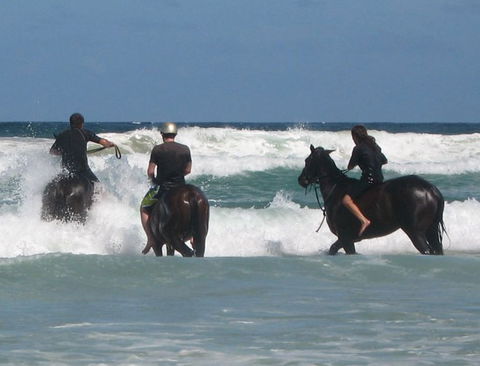 Pegasus Park Equestrian Centre - Accommodation NT 0