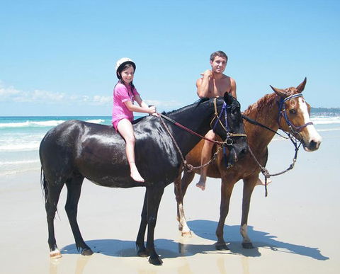 Pegasus Park Equestrian Centre - Accommodation NT 1