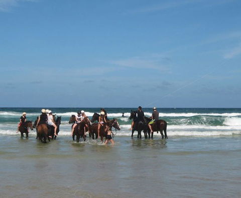 Pegasus Park Equestrian Centre - Accommodation NT 2