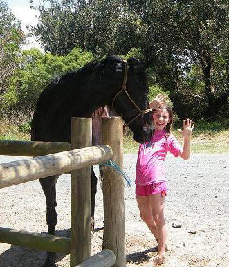 Pegasus Park Equestrian Centre - Accommodation NT 3