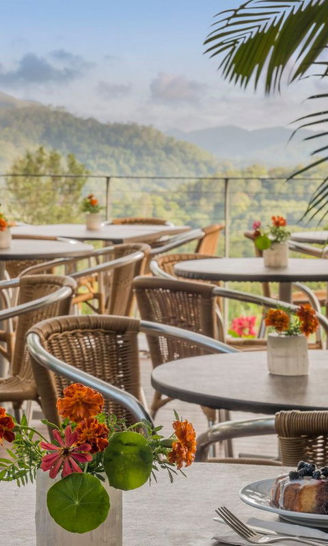 Crystal Castle & Shambhala Gardens - Accommodation NT 2