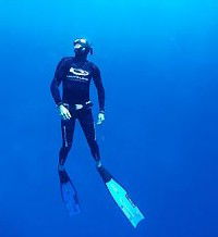 Byron Bay Dive Centre - Accommodation NT 1