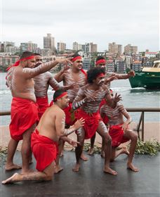 Tribal Warrior Harbour Cruises - Accommodation NT 2