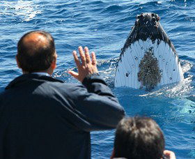 Bass & Flinders Cruises - Accommodation NT 3