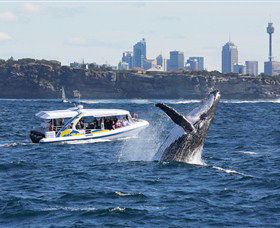 Bass & Flinders Cruises - Accommodation NT 2