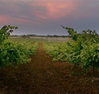 Wine Class - Accommodation NT