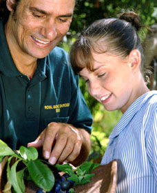 Aboriginal Heritage Tour - Accommodation NT 1