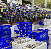 Sydney Fish Market - Accommodation NT