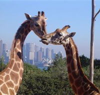 Planetdwellers - Gay and Lesbian Tours of Australia - Accommodation NT