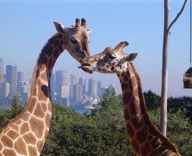 Planetdwellers - Gay And Lesbian Tours Of Australia - Accommodation NT 0