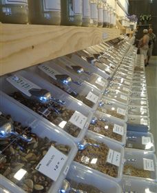The Source Bulk Foods - Accommodation NT 2