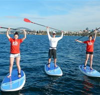 Sydney Scenic SUP - Stand Up Paddle Tours - Accommodation NT