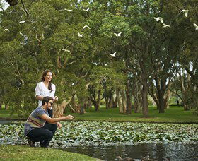 Centennial Parklands - Accommodation NT 3