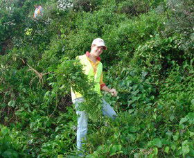 Conservation Volunteers Australia - Sydney - NT Tourism 2
