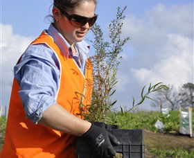 Conservation Volunteers Australia - Sydney - NT Tourism 3