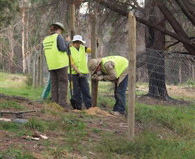 Conservation Volunteers Australia - Sydney - NT Tourism 4