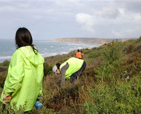 Conservation Volunteers Australia - Sydney - NT Tourism 5