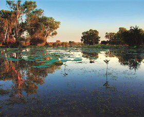 Inspiring Journeys - Accommodation NT 0