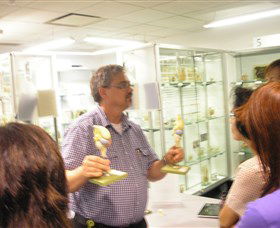 Museum Of Human Disease - Accommodation NT 3