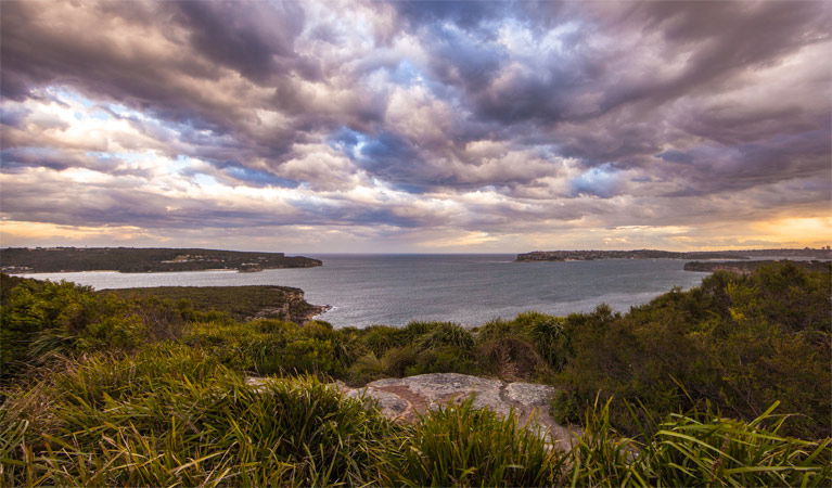 Sydney City NSW Accommodation NT